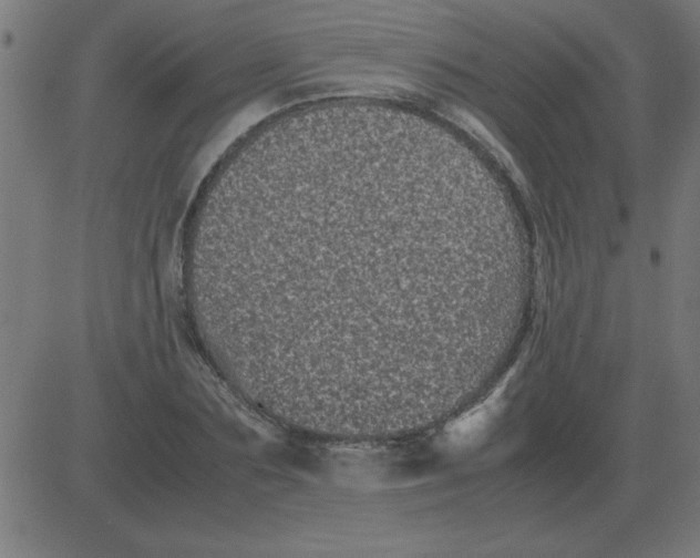 X0000081350883200702020112