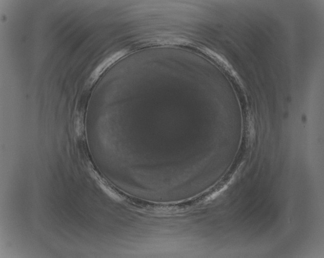 X0000081350889200702020112