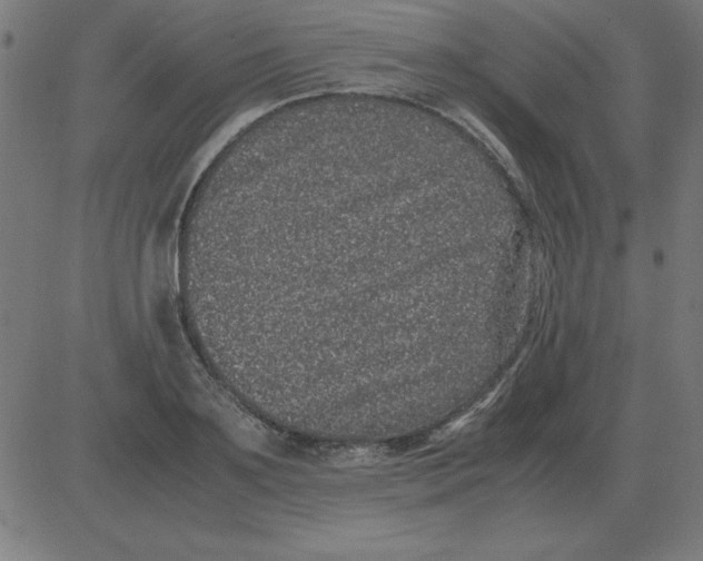 X0000081350891200702020112