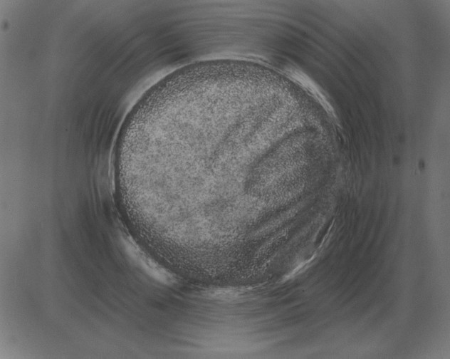 X0000081350892200702020112