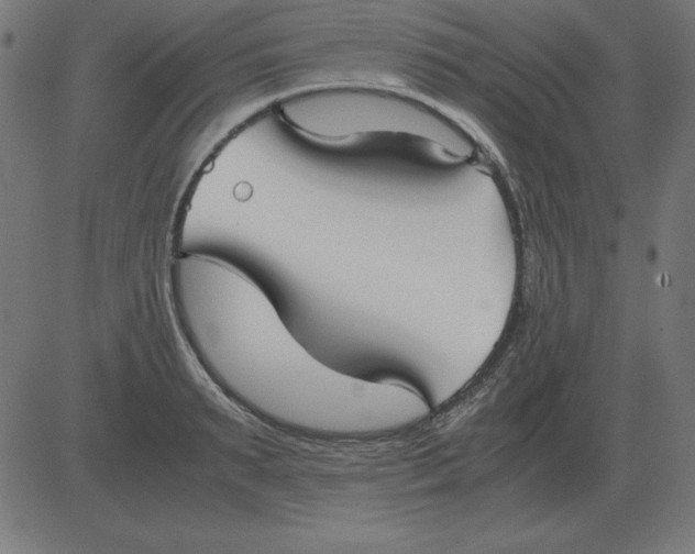 X0000081350895200702020111
