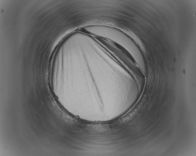 X0000081350896200702020111