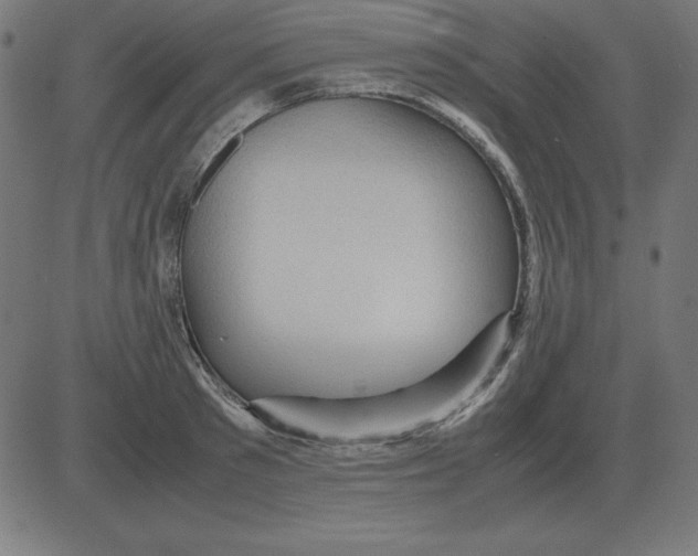 X0000081350897200702020111