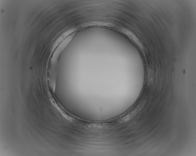X0000081350898200702020111