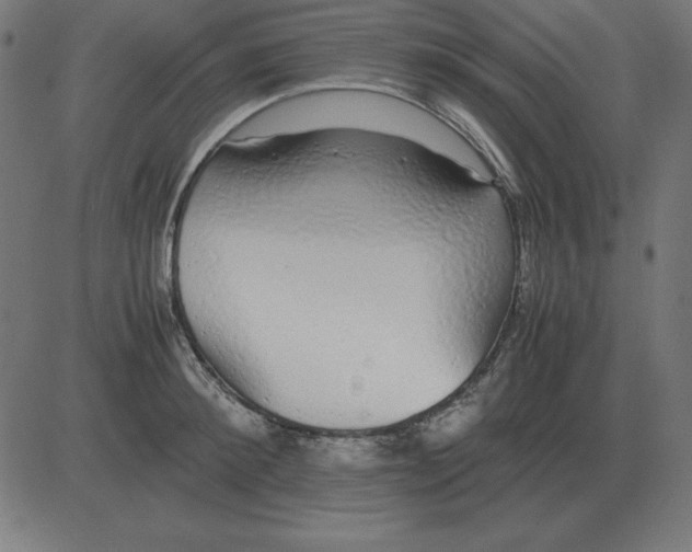 X0000081350900200702020111