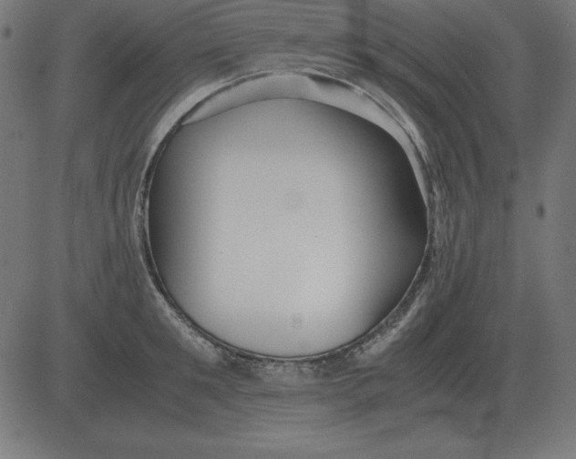 X0000081350901200702020111