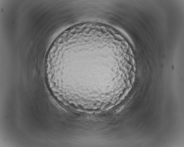 X0000081350903200702020111