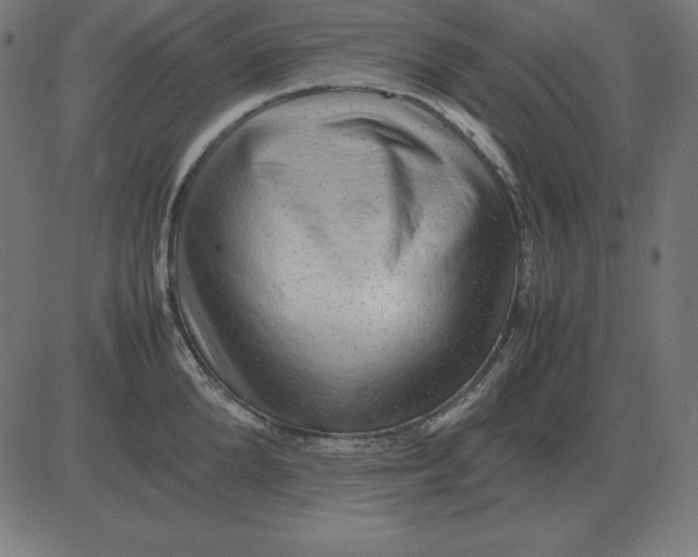 X0000081350904200702020111