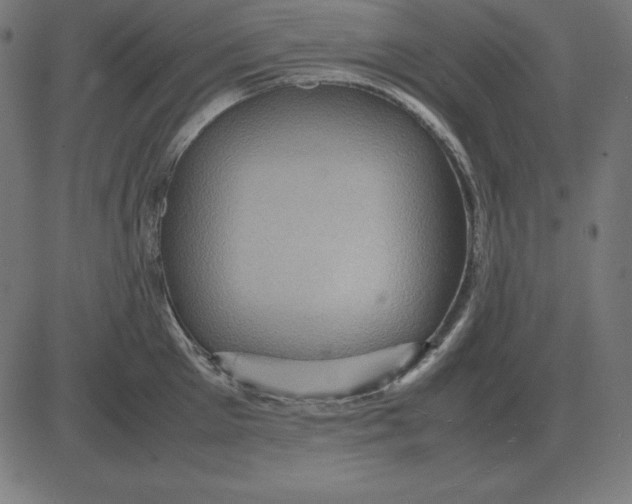 X0000081350905200702020111