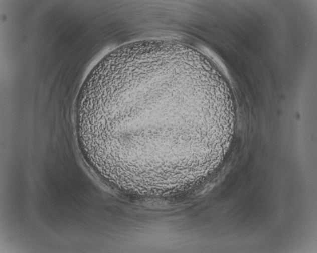 X0000081350907200702020111