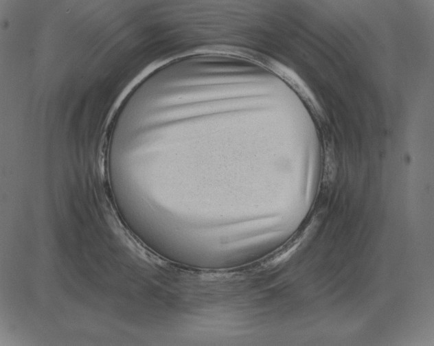 X0000081350908200702020111