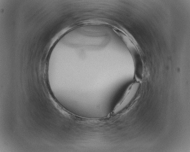 X0000081350909200702020111