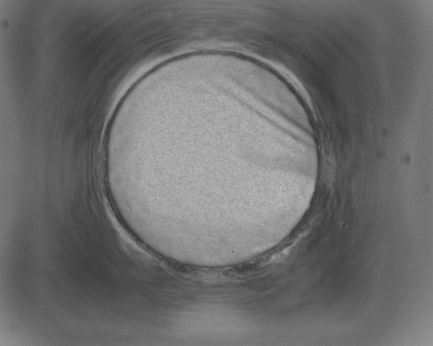X0000081350911200702020111