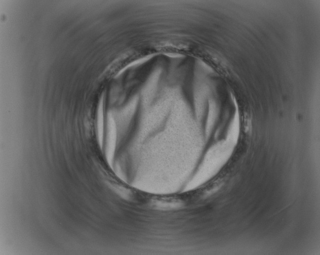 X0000081350915200702020110