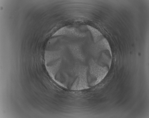 X0000081350916200702020110