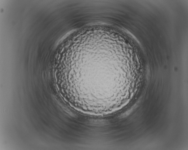 X0000081350921200702020111