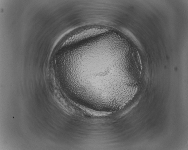 X0000081350924200702020111