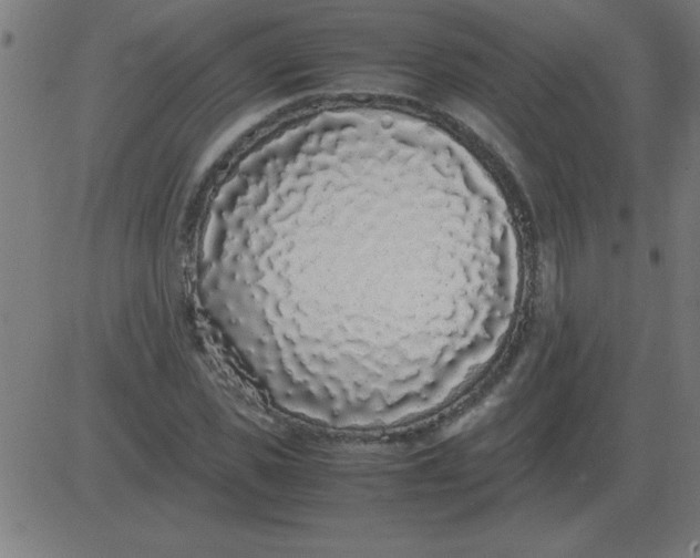 X0000081350925200702020111