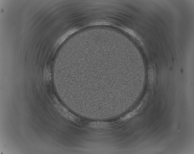 X0000081350929200702020111