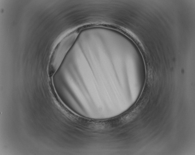 X0000081350935200702020111