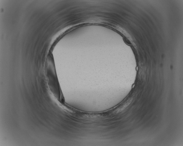 X0000081350939200702020111