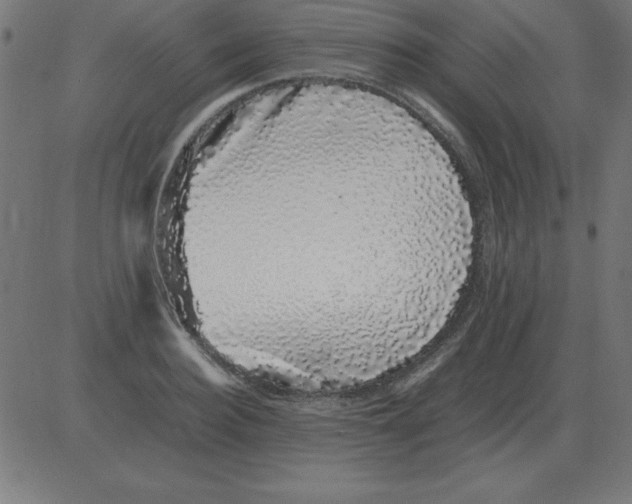 X0000081350940200702020111