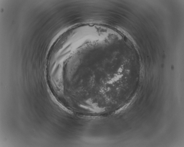 X0000081350941200702020111