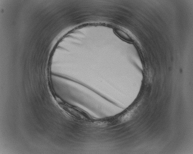 X0000081350943200702020111