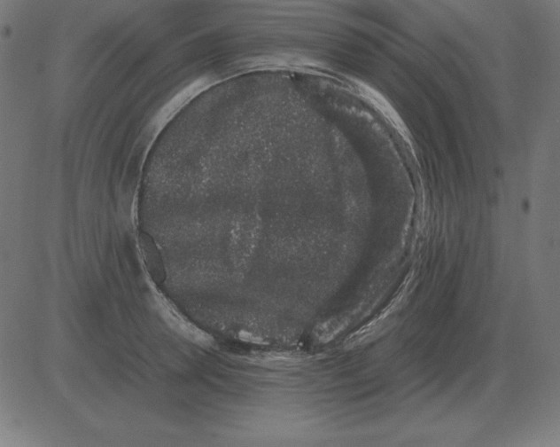 X0000081350946200702020111