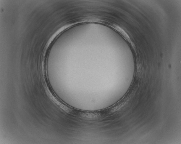 X0000081350947200702020111