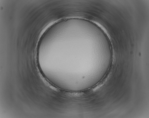 X0000081350949200702020111