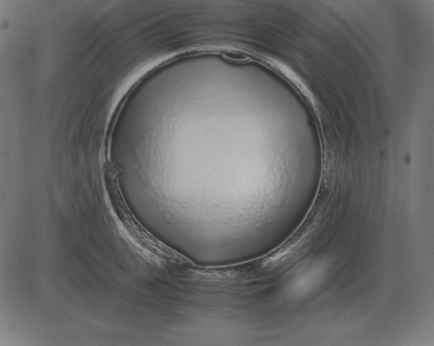 X0000081350951200702020111