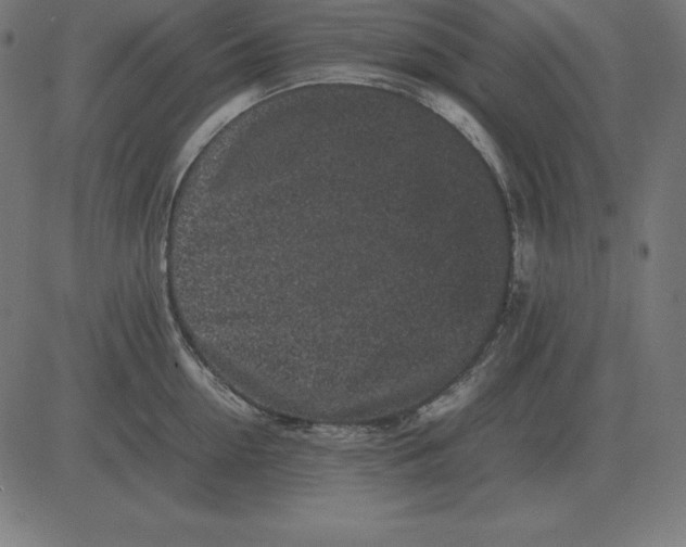 X0000081350954200702020111