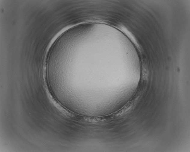 X0000081350955200702020111