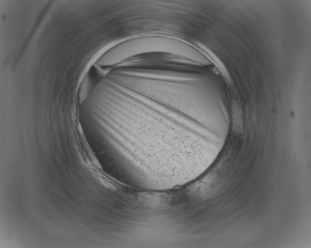 X0000081350956200702020111