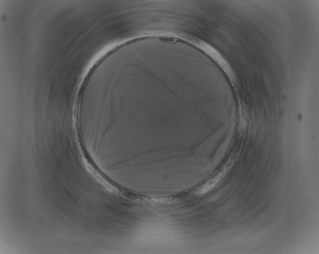 X0000081350958200702020111