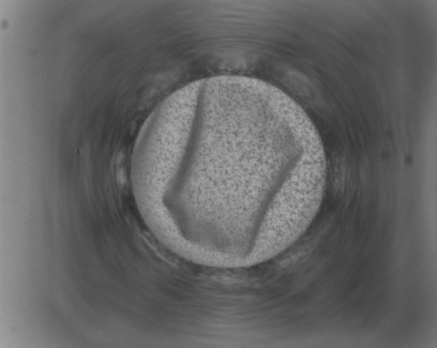 X0000081350962200702020110
