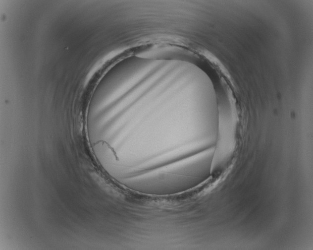 X0000081350973200702020110