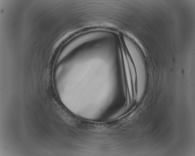 X0000081350975200702020110