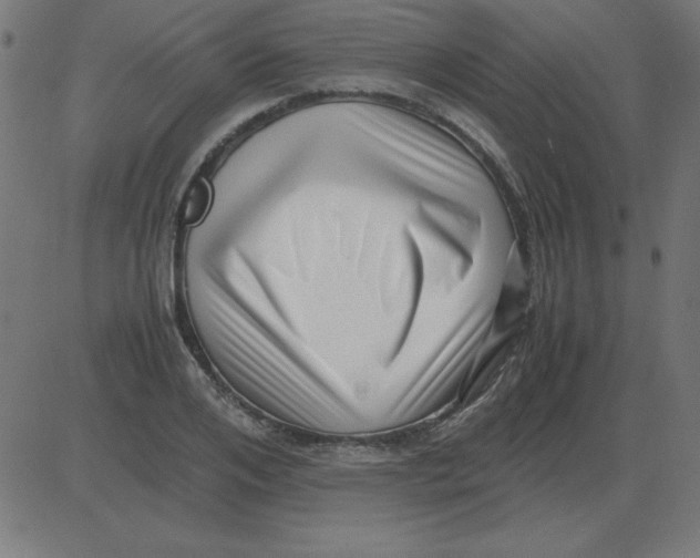X0000081350984200702020110