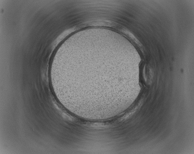 X0000081350986200702020110