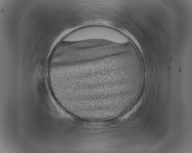 X0000081350989200702020110