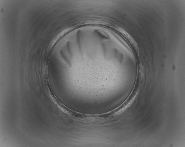 X0000081350993200702020110