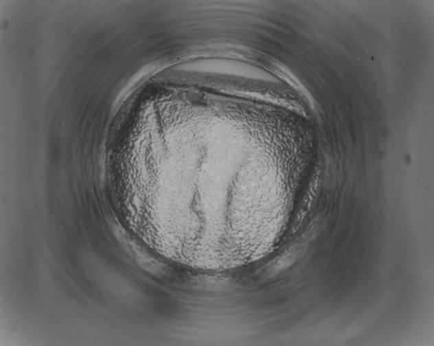 X0000081350994200702020110