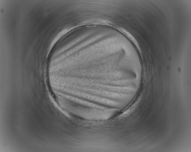 X0000081350997200702020110