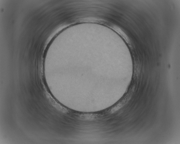 X0000081351000200702020110
