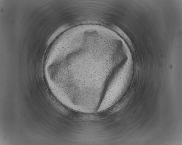 X0000081351002200702020110