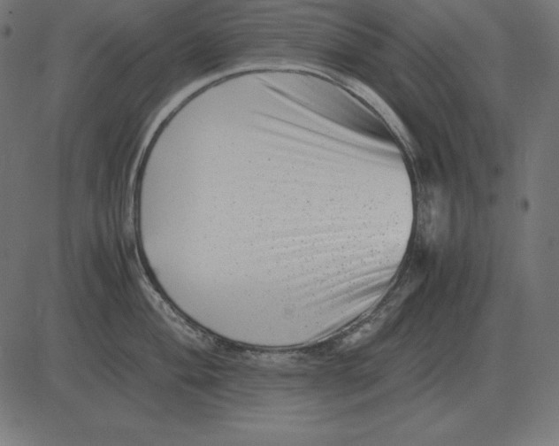 X0000081351004200702020110