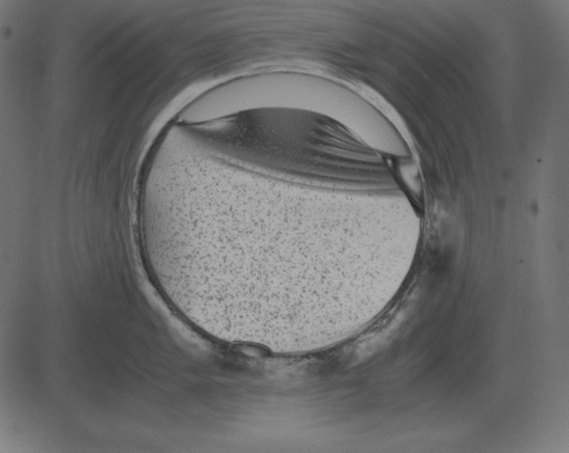X0000081351005200702020110