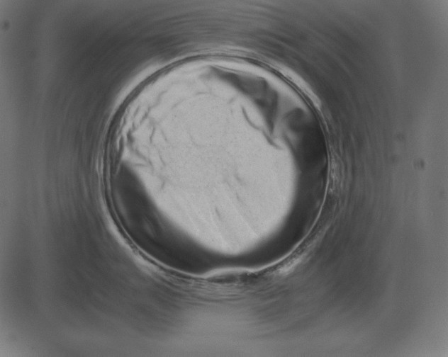 X0000081351007200702020110